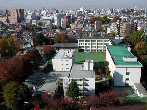 筑波大学附属盲学校の全景