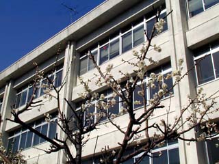 校舎の写真