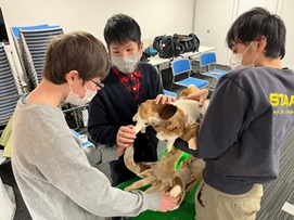 骨格標本を触察して考察する様子