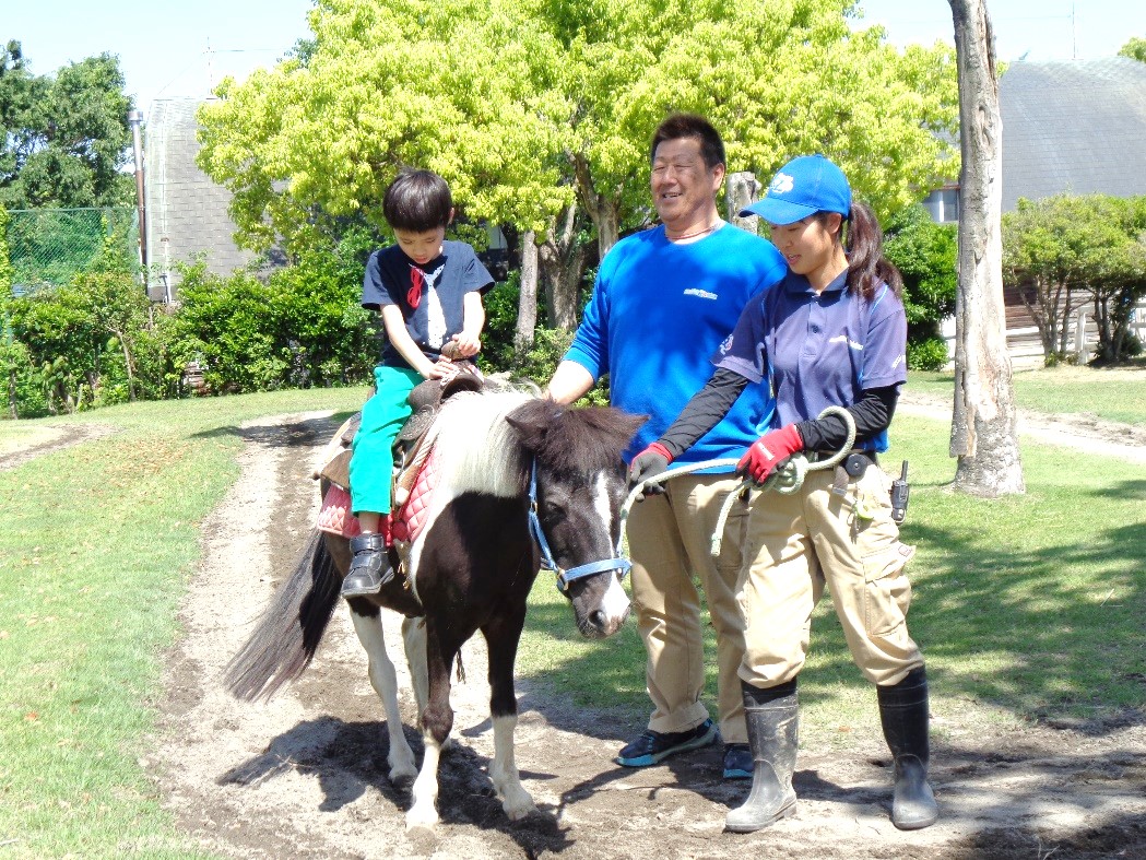 ポニーの乗馬体験