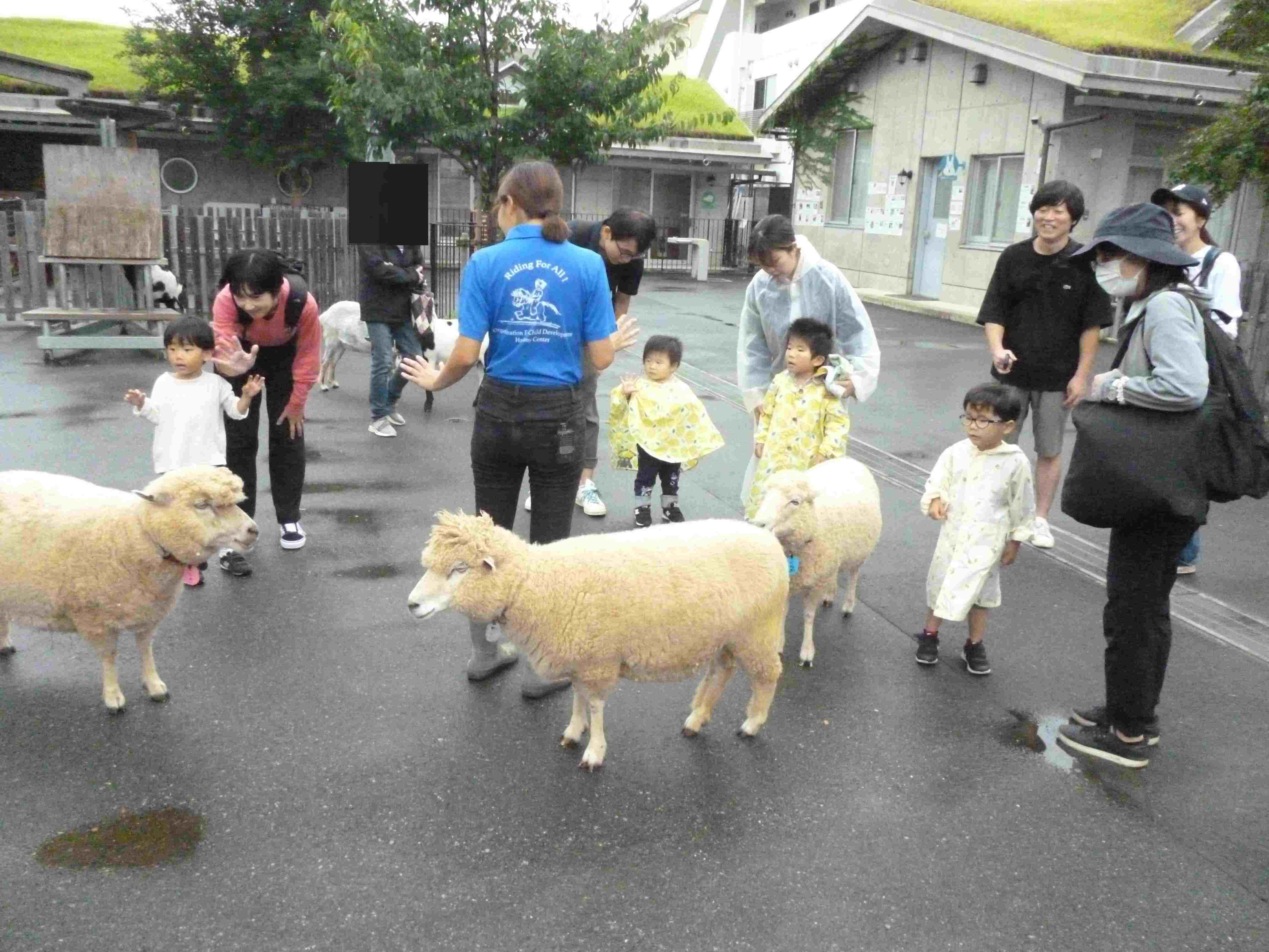 ヤギ、ヒツジと仲良くなろう