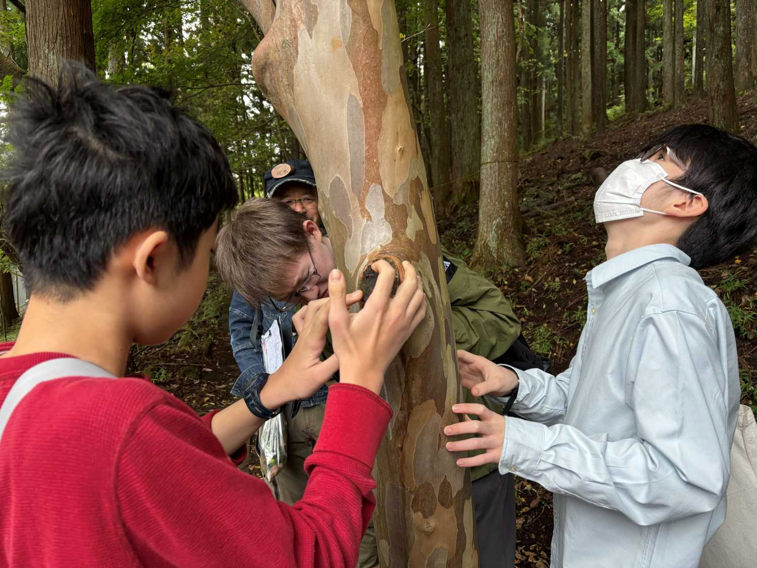 森のガイドハイク