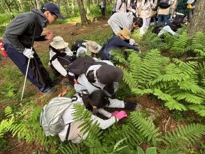 自然観察で下草や土壌に触れる