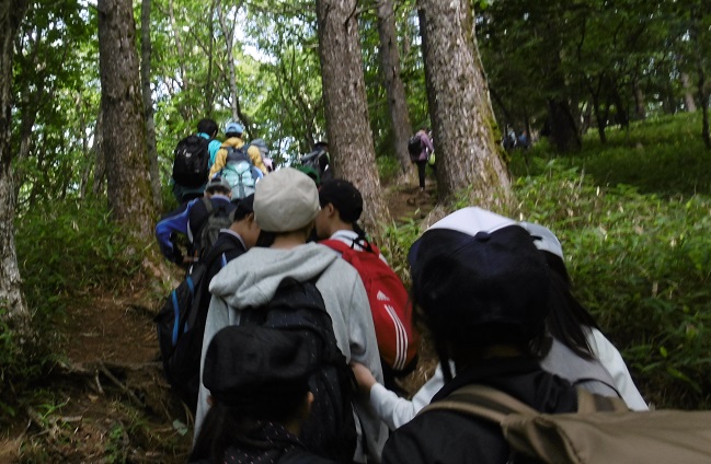 写真 夏季学校