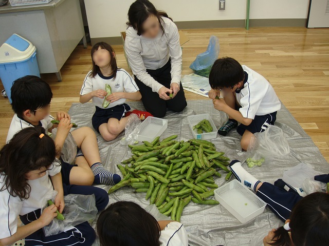 画像:給食の材料に触り学習する子どもたちの写真