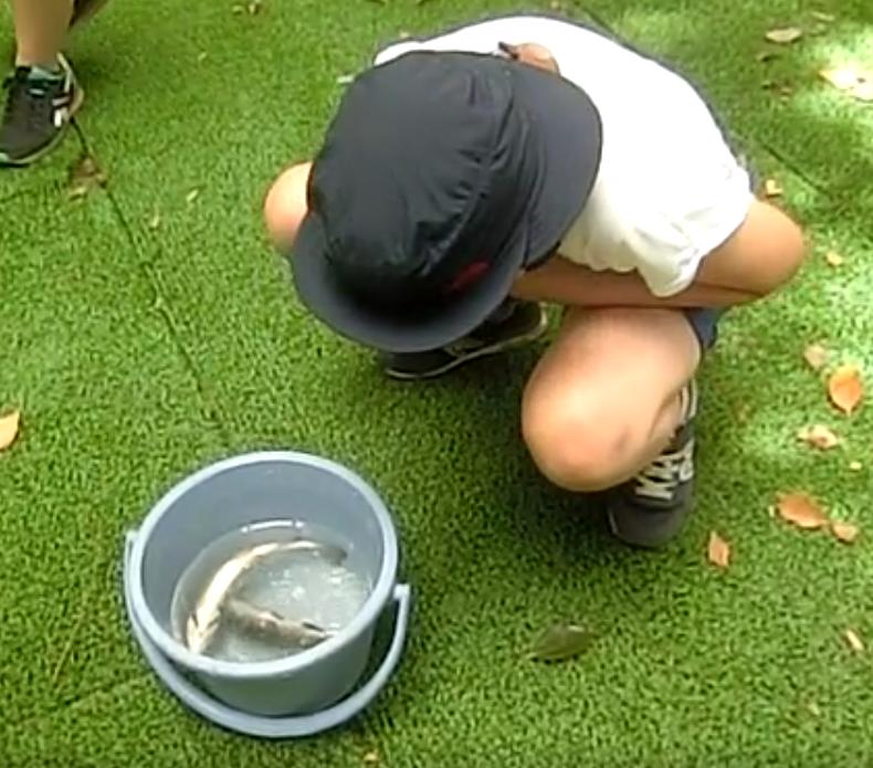 画像:高学年夏季教室の写真