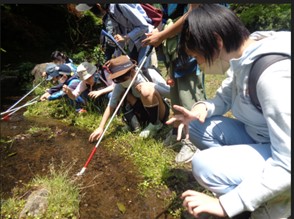 画像:校外学習(森林公園)の写真
